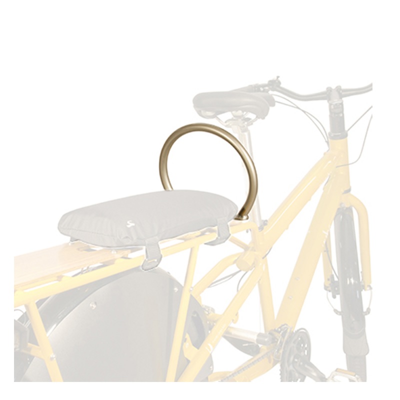 13-maniglia-per-passeggero-bici-yuba