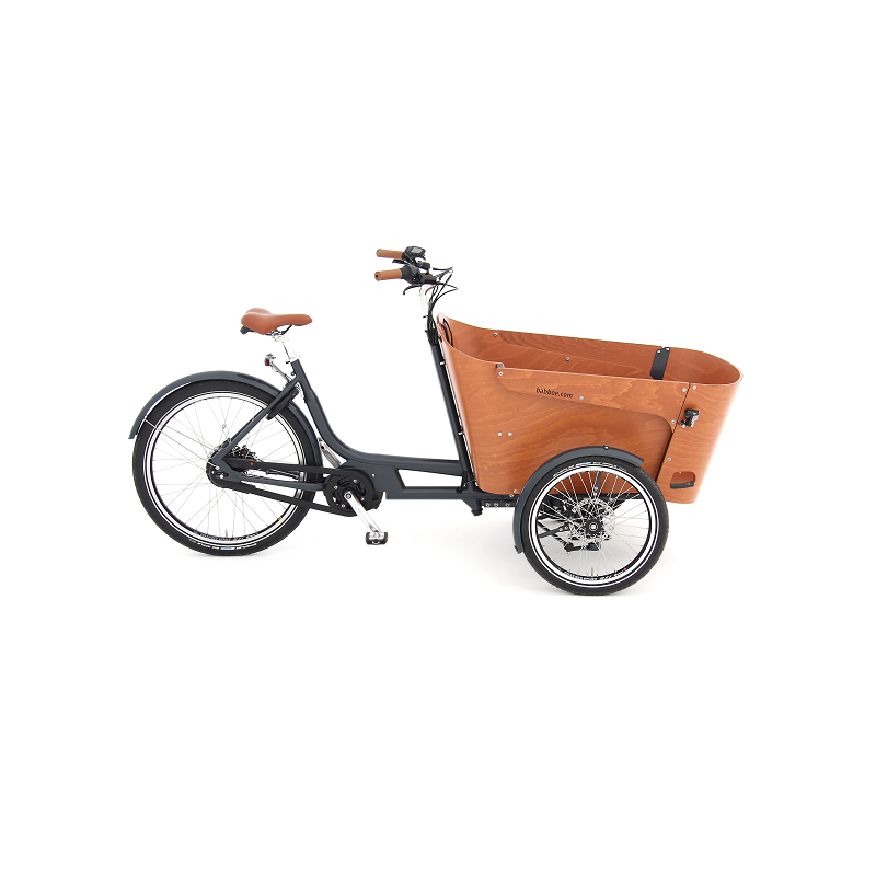 Babboe Flow Mountain