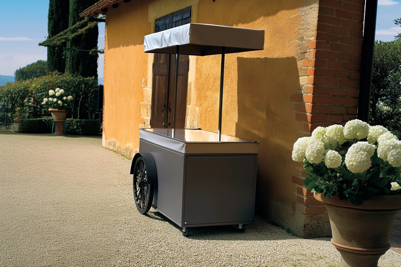 Carrello a spinta da street food